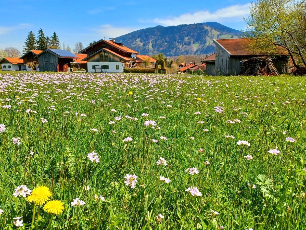 Ferienwohnung Geierstein Wackersberg Exteriér fotografie