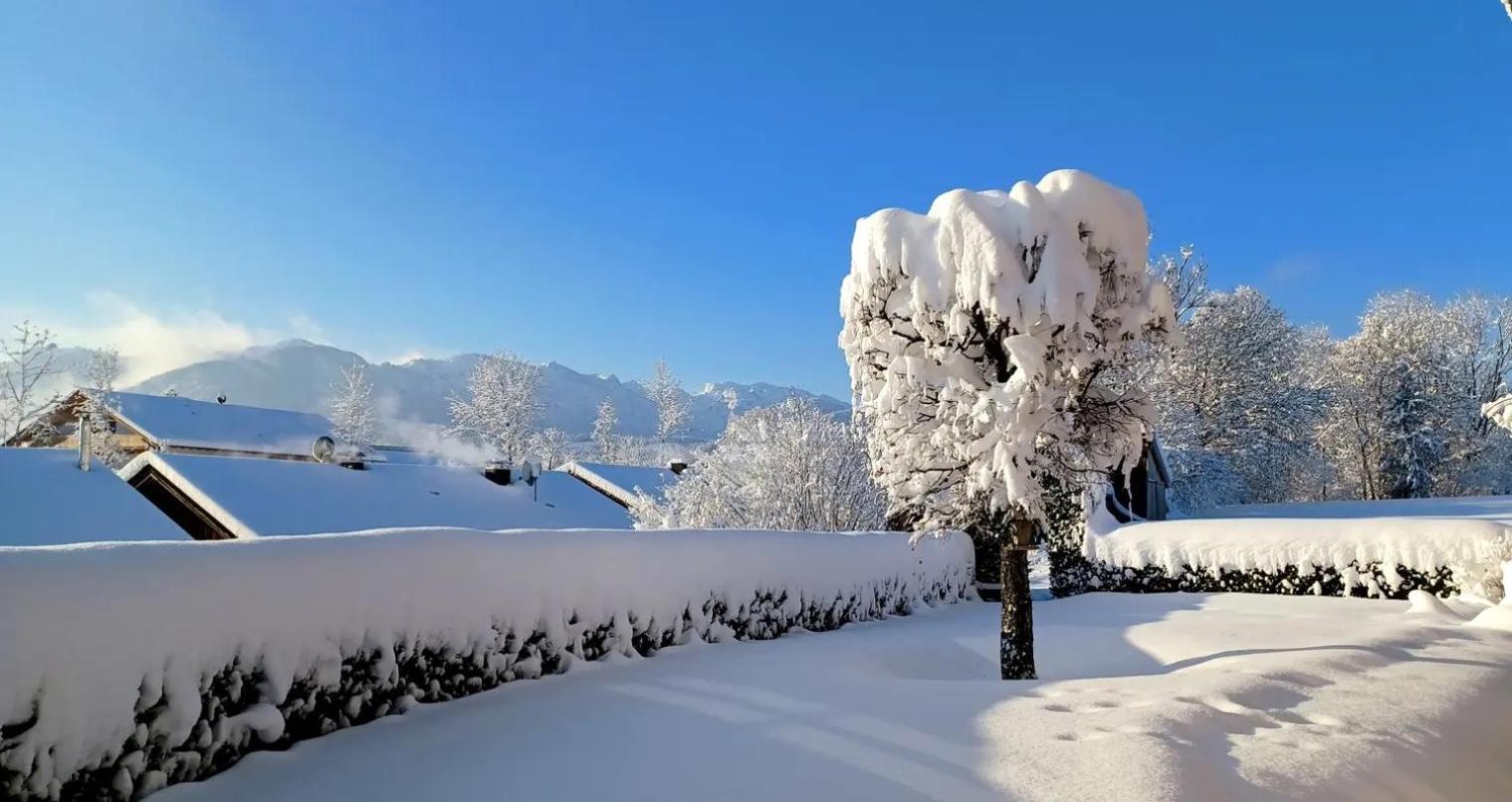 Ferienwohnung Geierstein Wackersberg Exteriér fotografie